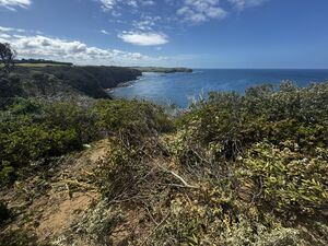 Nearly missed the flight